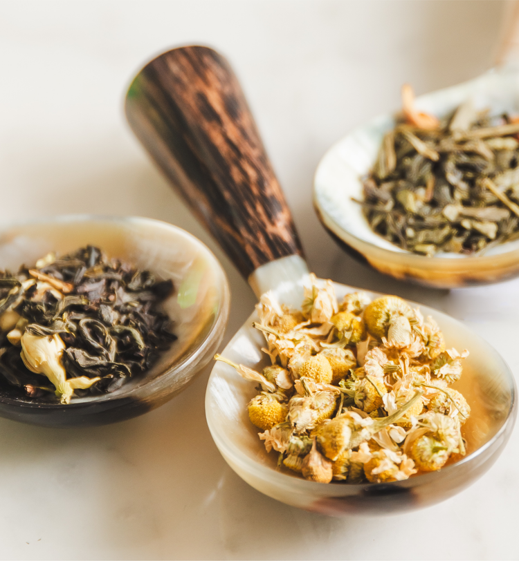 Quelle est la différence entre la tisane et le thé ?
