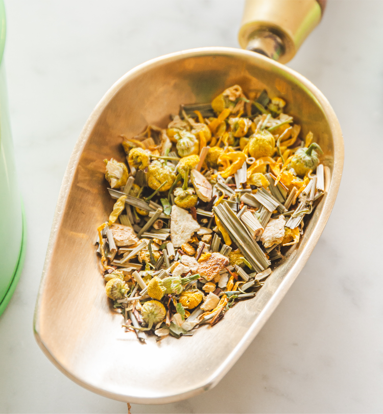 Tisanes et saisons : quelles infusions consommer au fil de l’année ?