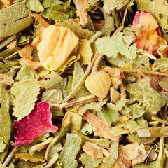 Tisane des Invités - Infusions