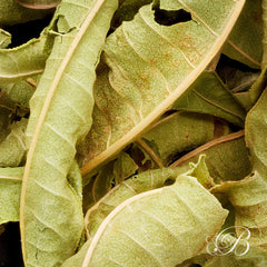 Tisane Verveine vrac - Infusions