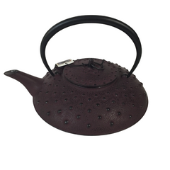 Théière Zui Un (1,2L) - Théière fonte