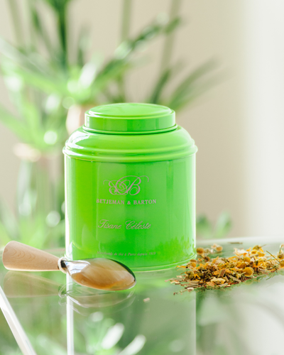 Tisanes et saisons : quelles infusions consommer au fil de l’année ?