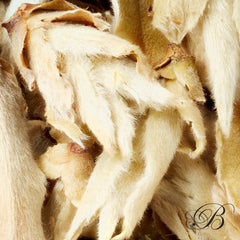 Thé vert Wild Tea Buds Supérieur - Thés