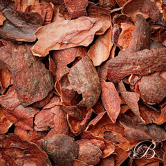 Infusion COCAO - Plantation Mangaro (Madagascar) - Infusions