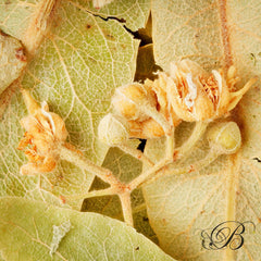 Tisane Tilleul vrac - Infusions