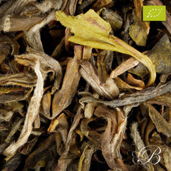 Thé blanc chinois White Monkey bio - Thés