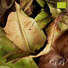 Thé blanc chinois Pai Mu Tan bio Supérieur - Thés