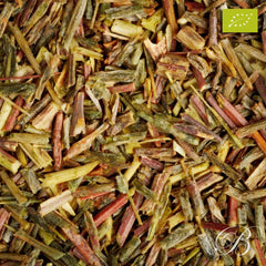 Rooibos Vert bio - Rooibos