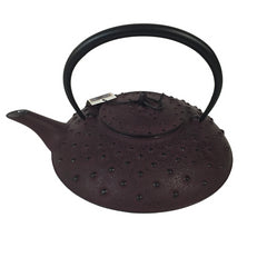 Théière Zui Un (1,2L) - Théière fonte