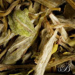 Thé vert chinois Snow Buds 1st Flush 2025